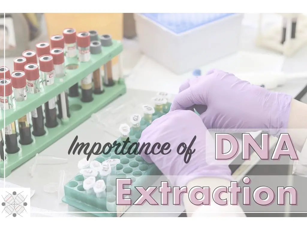 Importance of DNA extraction