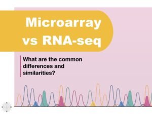 Why is RNA-Seq Better Than Microarray? (Microarray vs RNA-seq ...