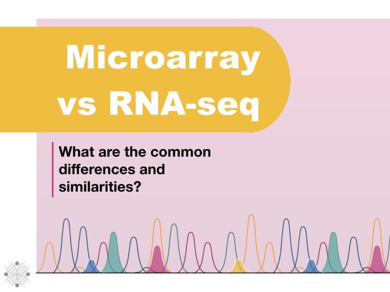 RNA sequencing Archives Education