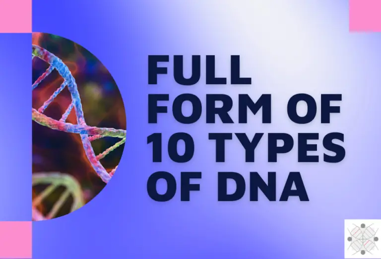 full-form-of-10-types-of-dna-genetic-education