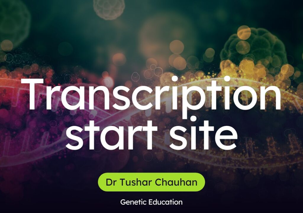Poster image of transcription start site.