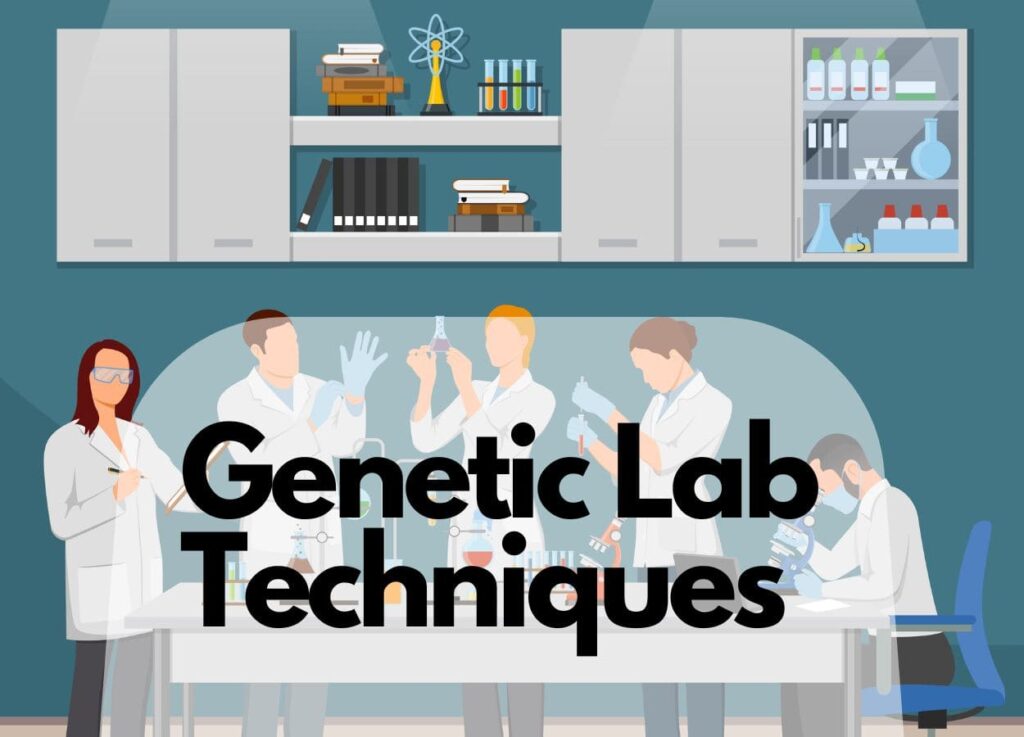 Illustration of scientists working in a genetic lab