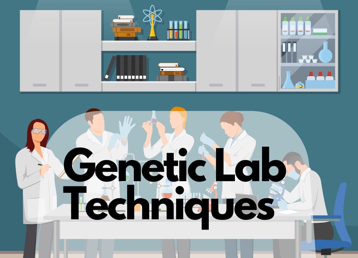 10 Common Lab Techniques to Work in a Genetic Lab Genetic Education 10 Common Lab Techniques to Work in a Genetic Lab Genetic Education