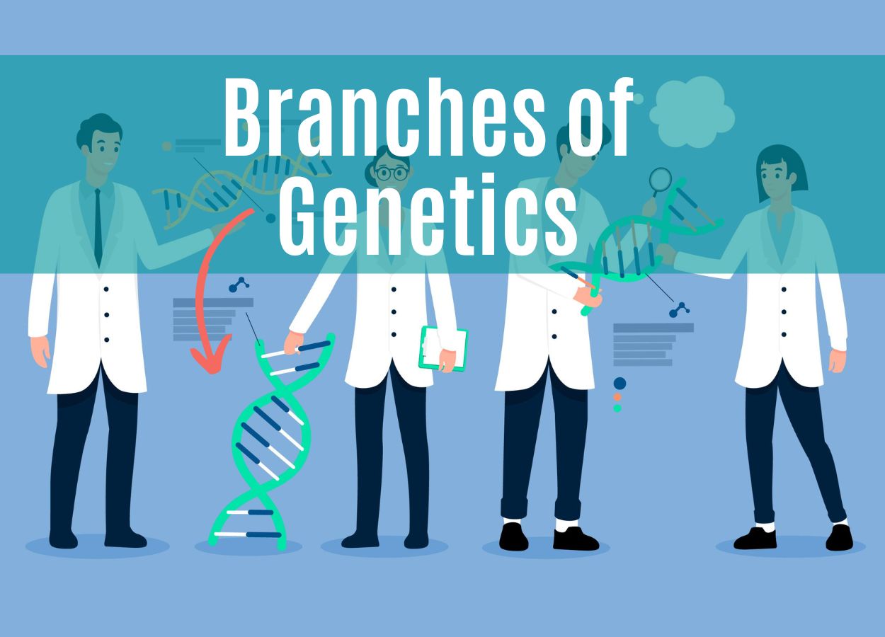30 Branches of Genetics You should Know