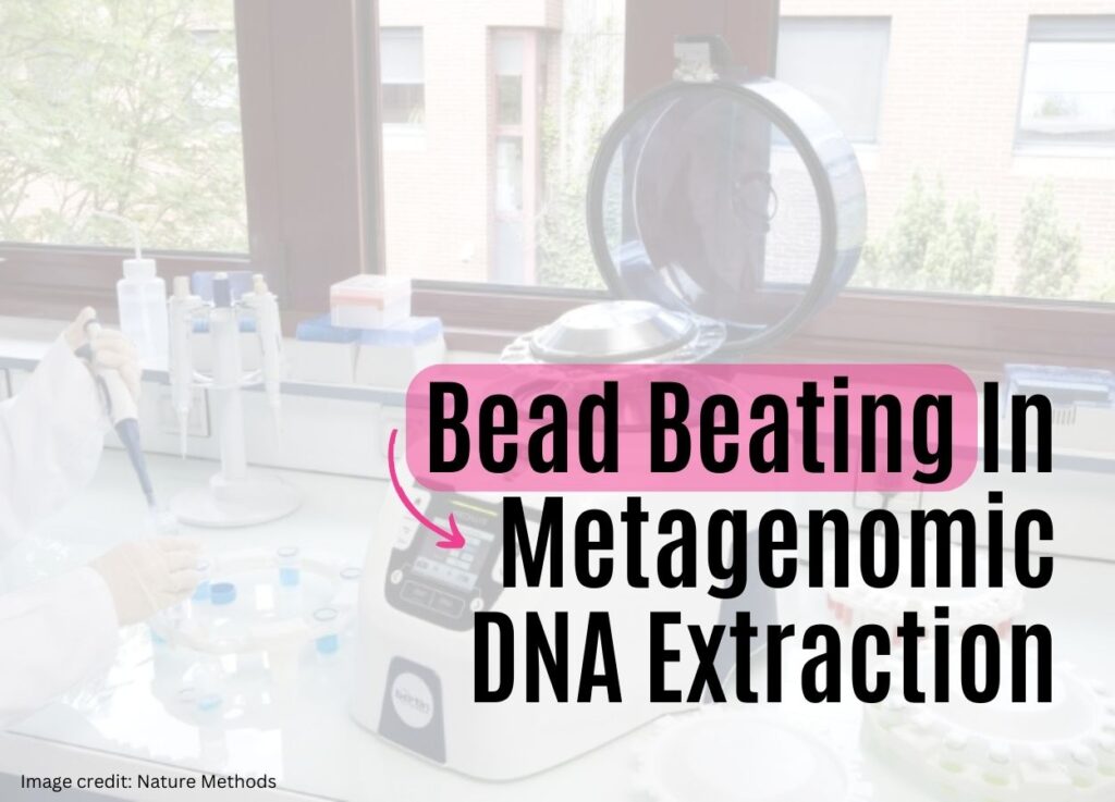 Metagenomics DNA extraction using bead beating.