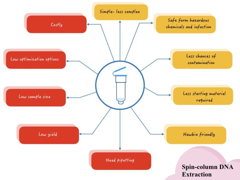 Comparison Between Manual vs Spin Column vs Automated DNA Extraction