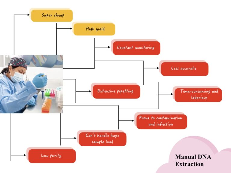 Comparison Between Manual vs Spin Column vs Automated DNA Extraction