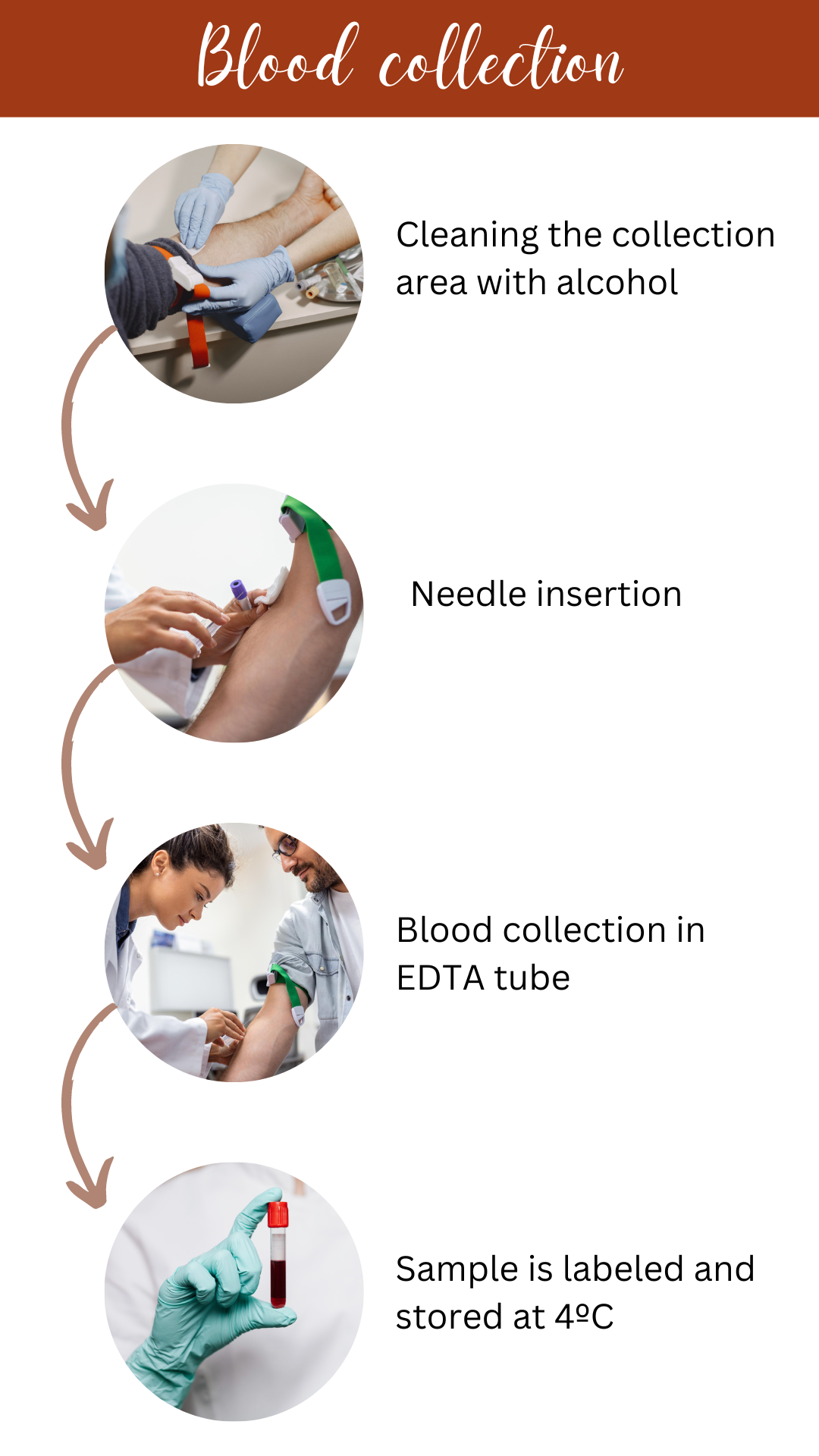 How To Extract DNA From Whole (Fresh), Frozen, Dried and Clotted Blood ...