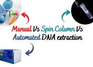 Comparison Between Manual vs Spin Column vs Automated DNA Extraction ...