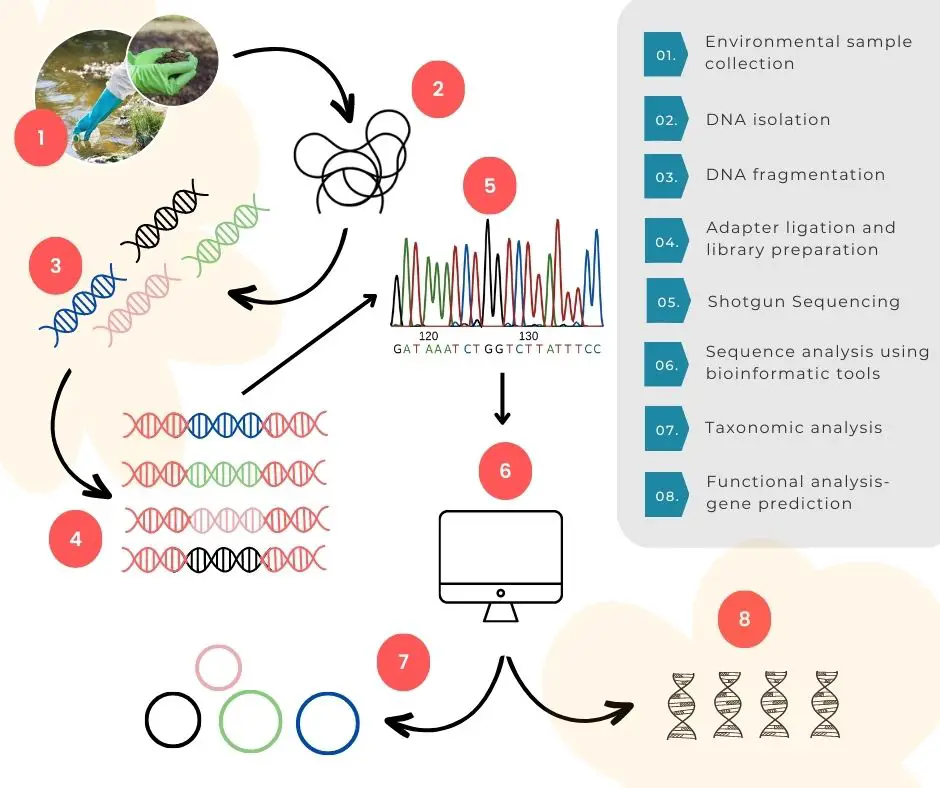 Scheme of shotgun sequencing for metagenomic analysis