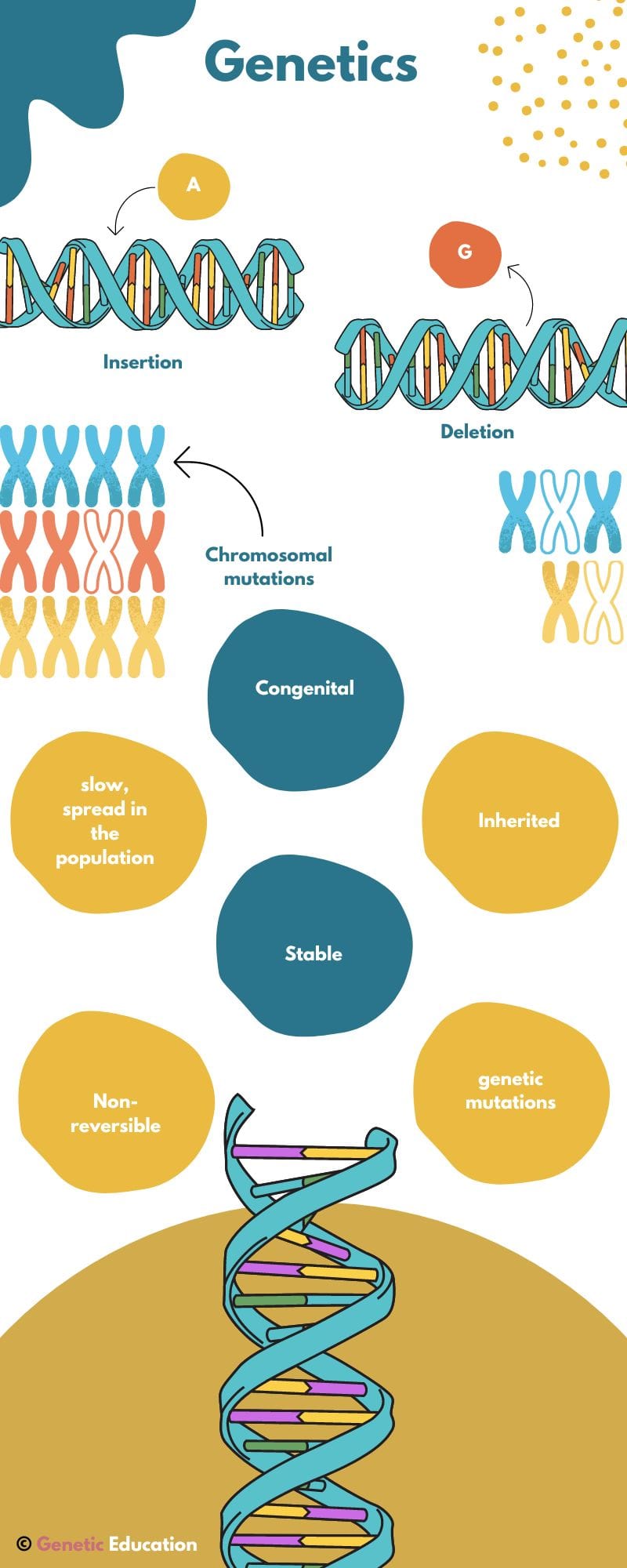 Genetics vs Epigenetics: From Gene Alterations to Gene Expression ...