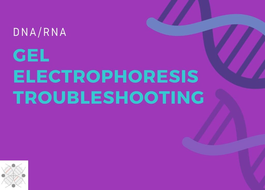 DNA/RNA gel electrophoresis troubleshooting