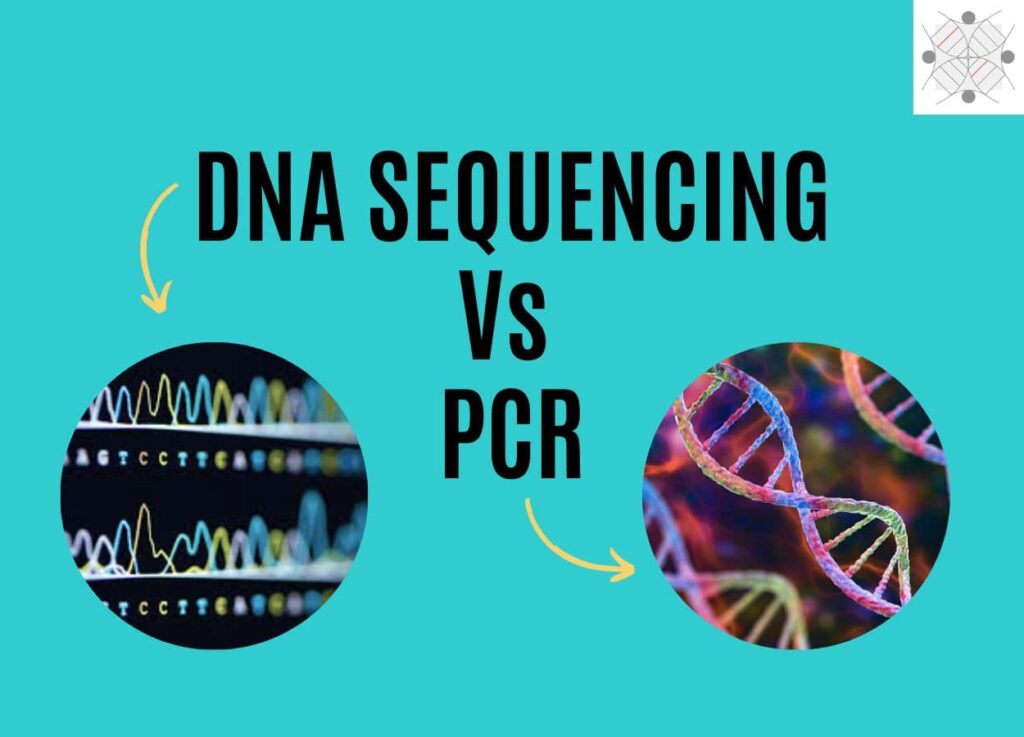 DNA sequencing vs PCR