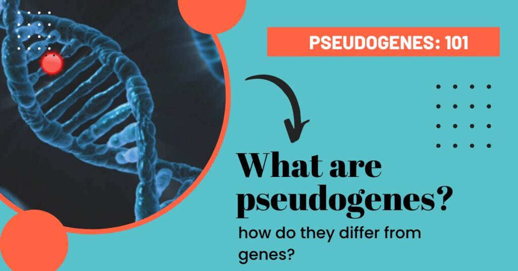 What Are Pseudogenes and How Do They Differ From Genes?