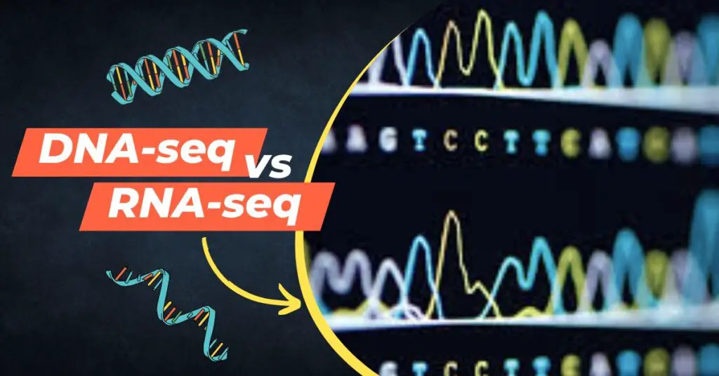 Differences between DNA-seq vs RNA-seq