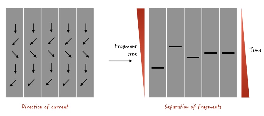 Different types of DNA/RNA gel electrophoresis.