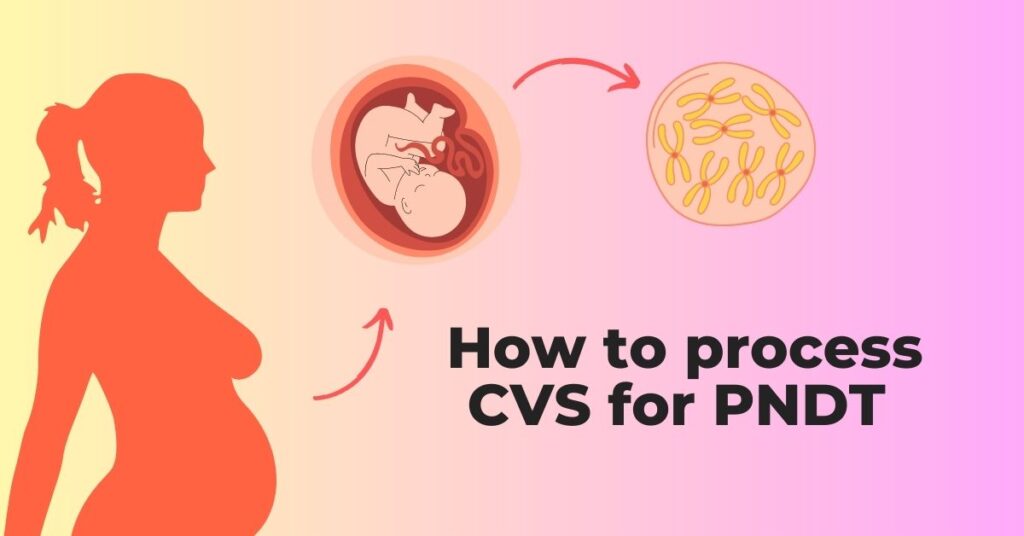 How to process CVS for PNDT.