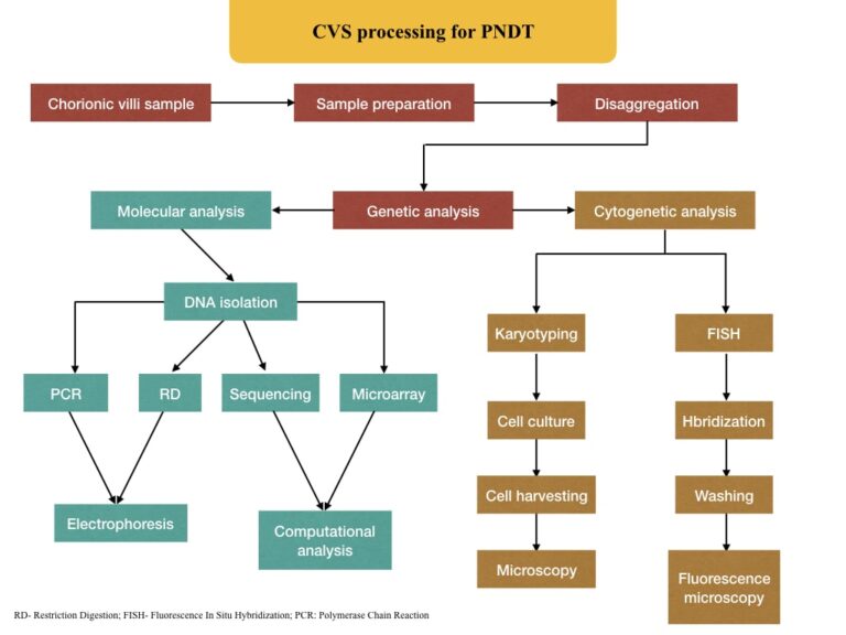 How to Process a CV (Chorionic Villi) Sample for PNDT? (A Proven SOP ...