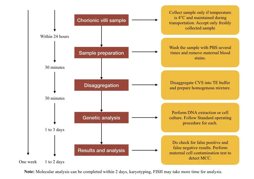 Time duration for testing CVS. 