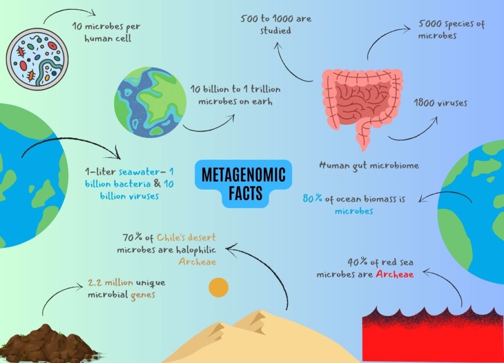 Facts on microbes revealed by metagenomics.
