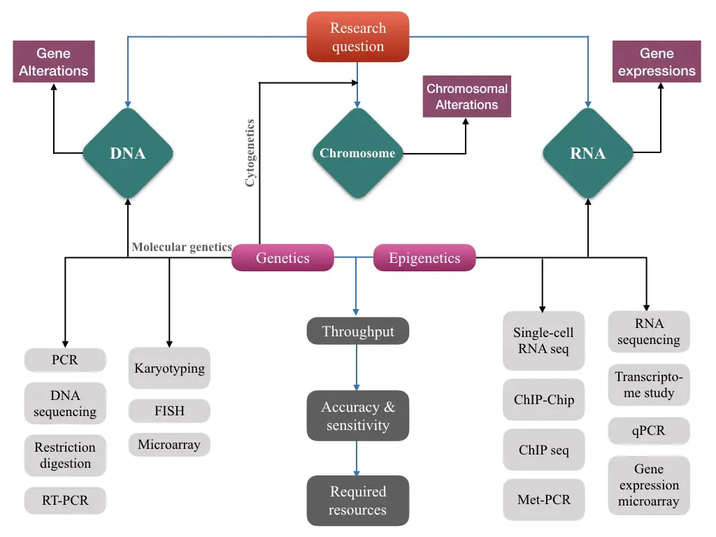 A general scheme to select a genetic assay.