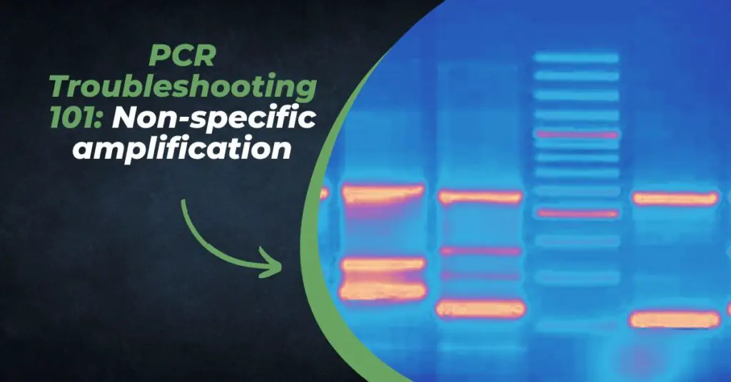 PCR troubleshooting for non-specific amplification.