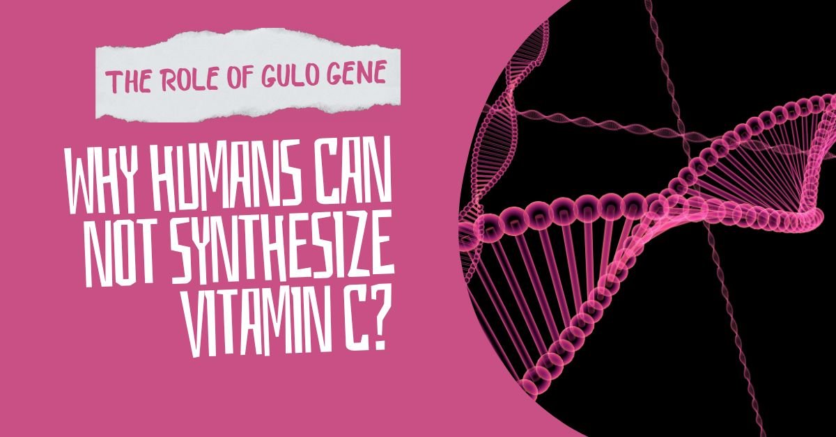 Why Humans Can not Synthesize Vitamin C? The Role of GULO Pseudogene ...