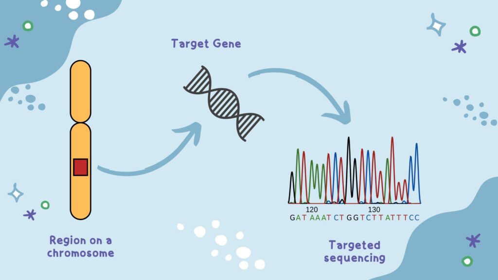 A simple representation of targeted sequencing.