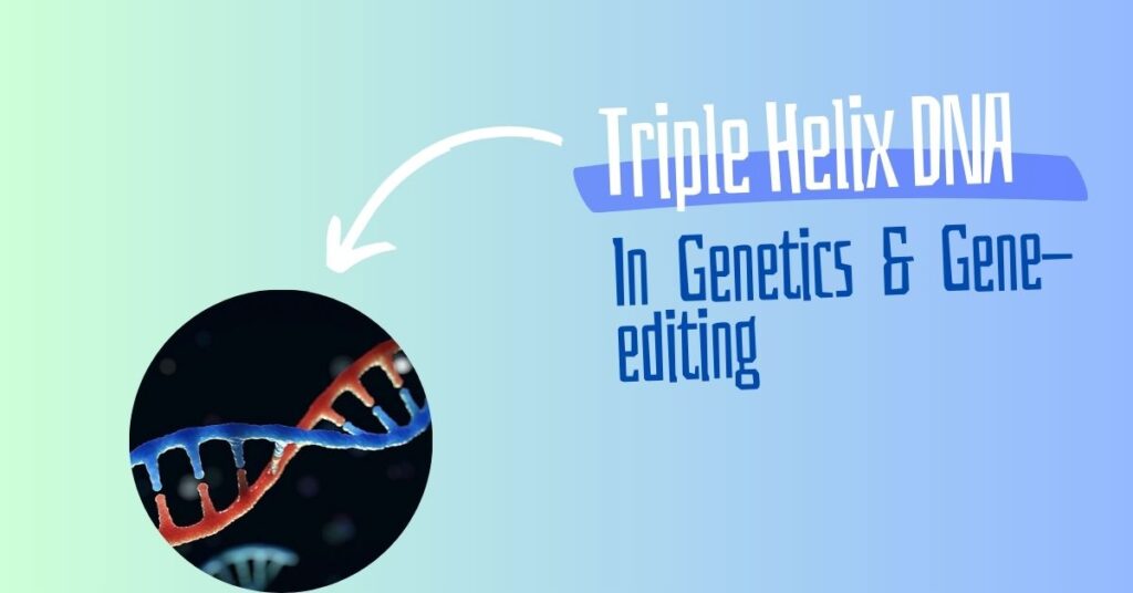 Role of triple helix DNA in gene editing and genetics.