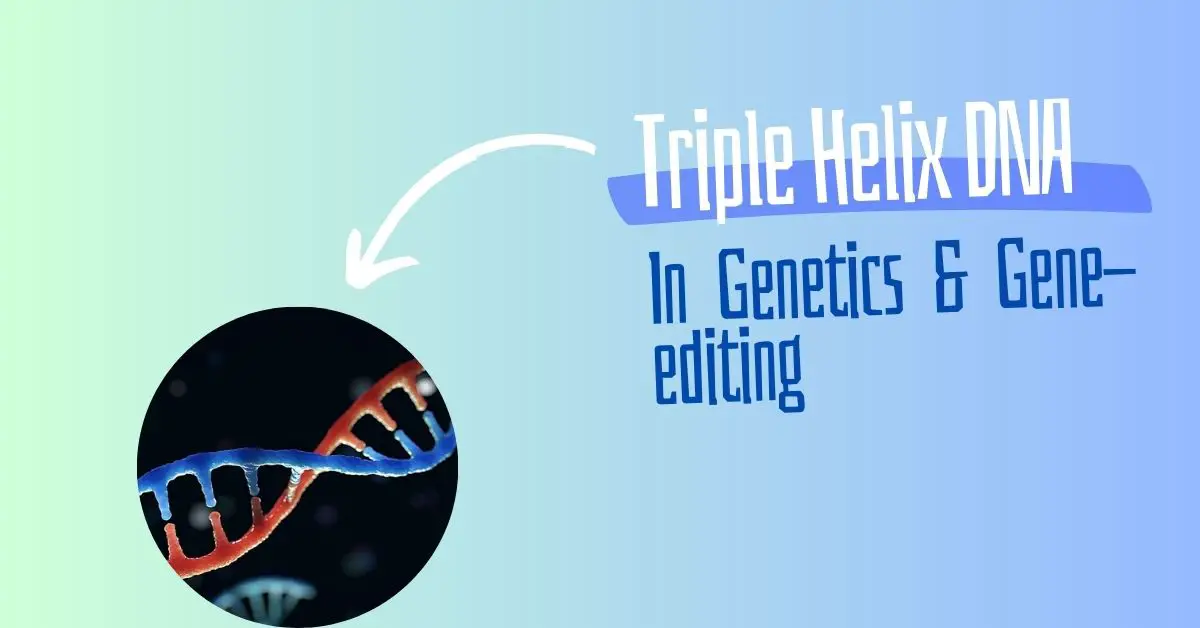 How Triple Helix Can Revolutionize The Field Of Genetics? – Genetic ...