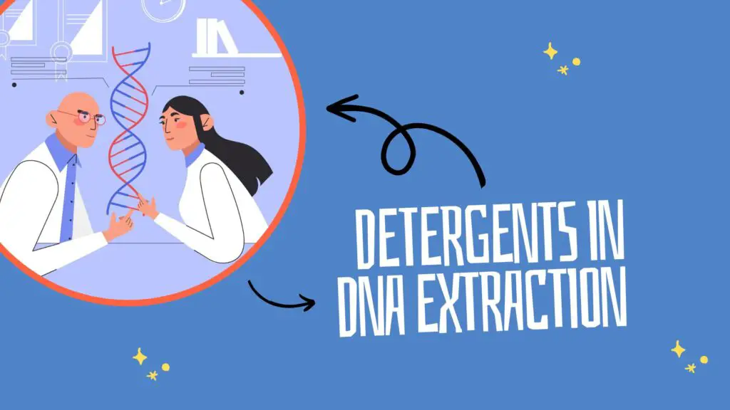 Detergents in DNA extraction