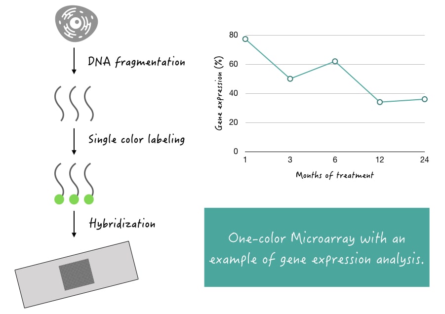 Illustration of one-color microarray.