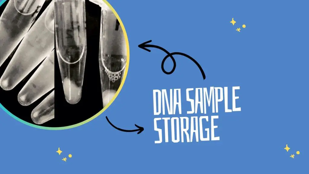 How to collect, store and handle a DNA sample.