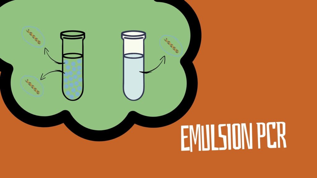 What is emulsion PCR?