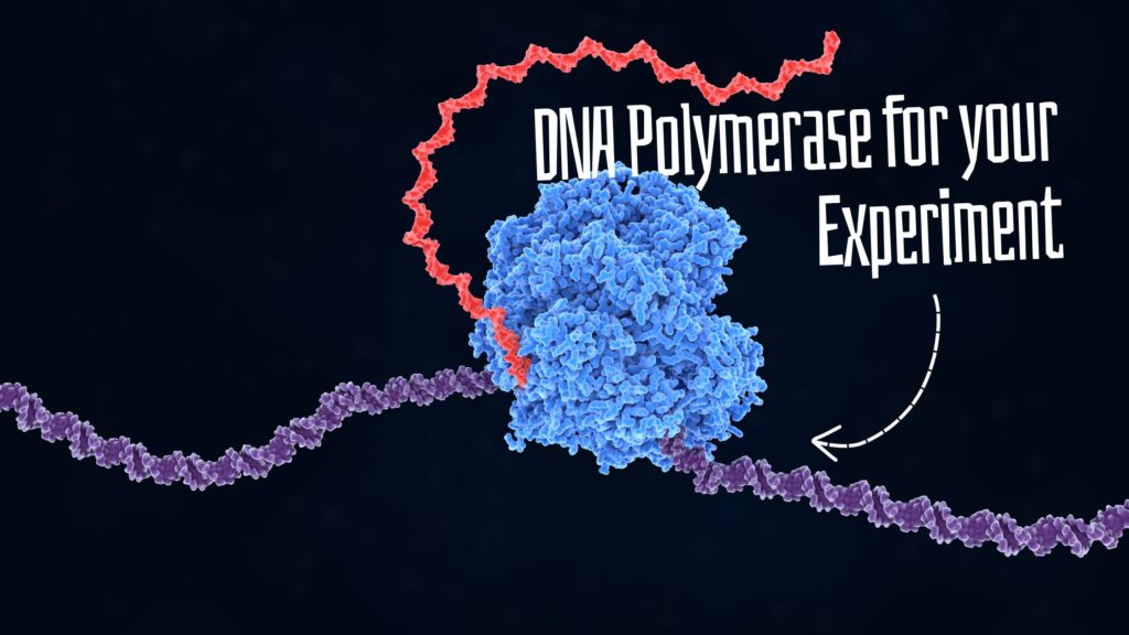A Guide to choose DNA polymerase