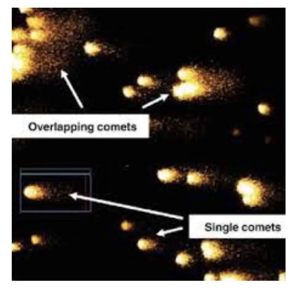 Overlapping COMETs 