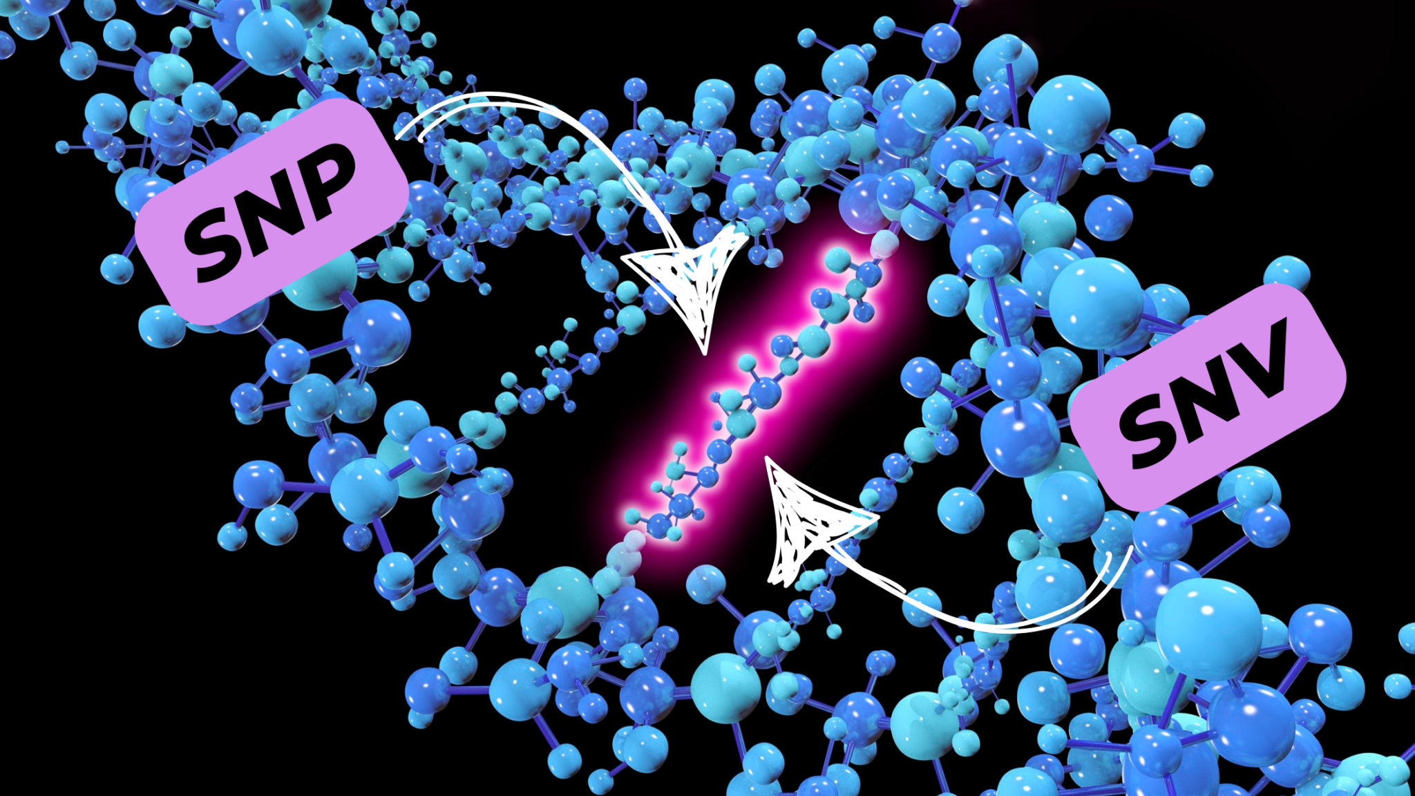 snps-archives-genetic-education