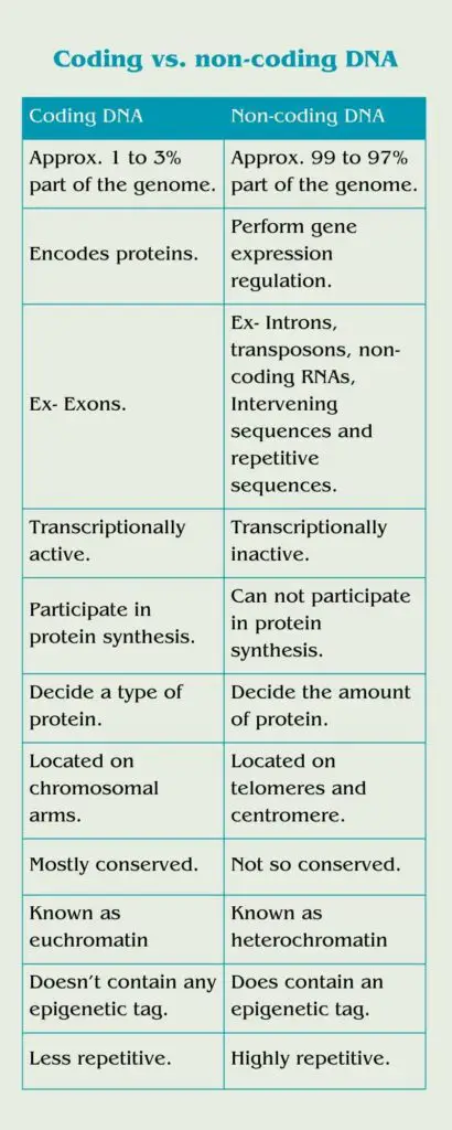 Coding vs non-coding DNA 2