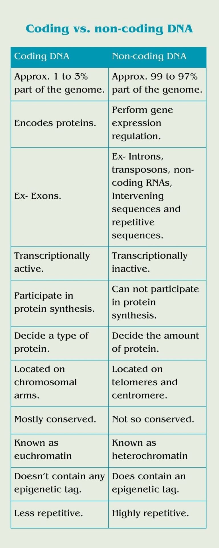 Comparison Between Coding vs Non-coding DNA – Genetic Education