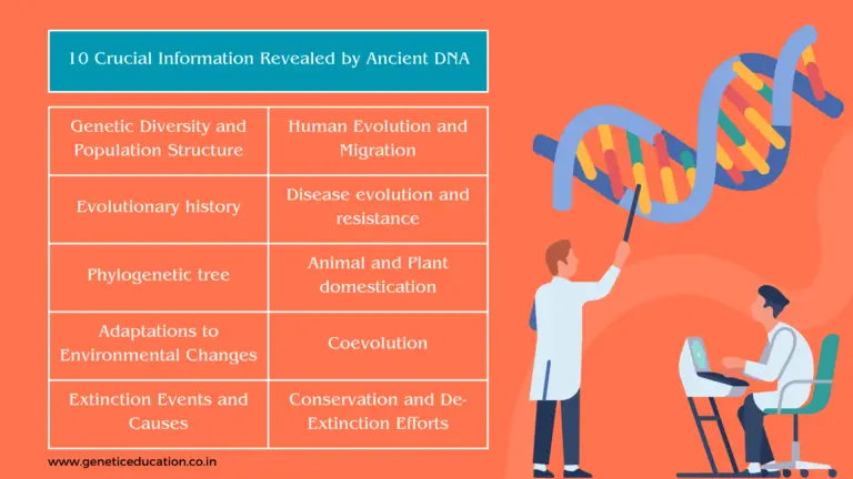 10 Crucial Information Revealed by Ancient DNA – Genetic Education