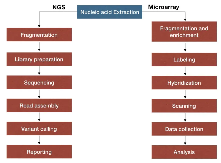NGS and microarray workflow.