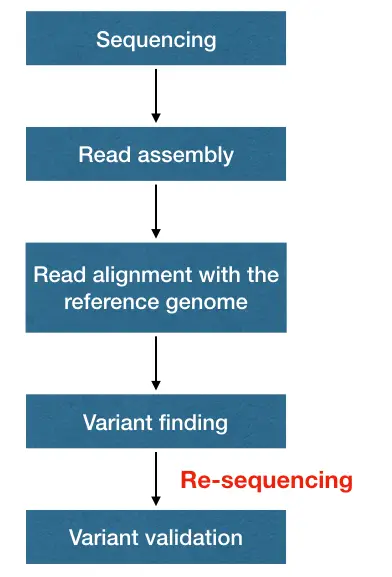 Illustration of resequencing process.