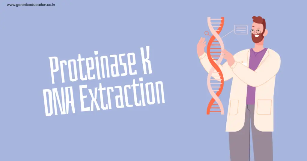 Proteinase K DNA Extraction