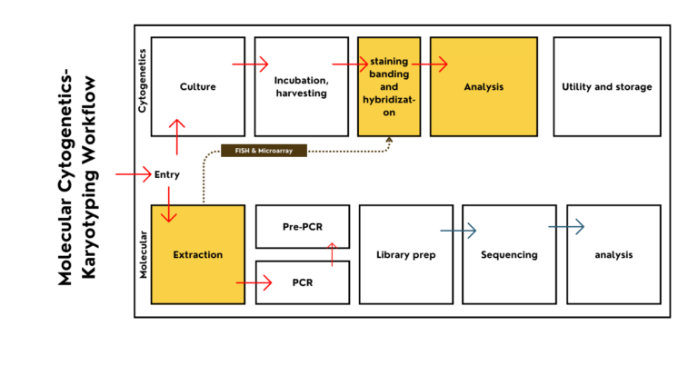 Genetic Lab Tour 101: Departments, Workflow and Testing – Genetic Education