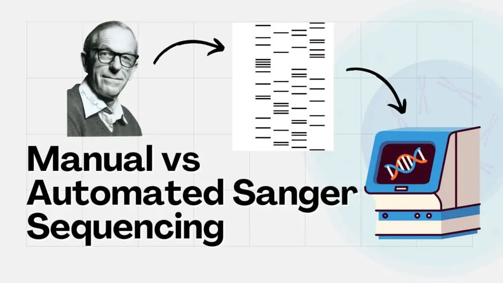 Manual vs Automated Sanger sequencing