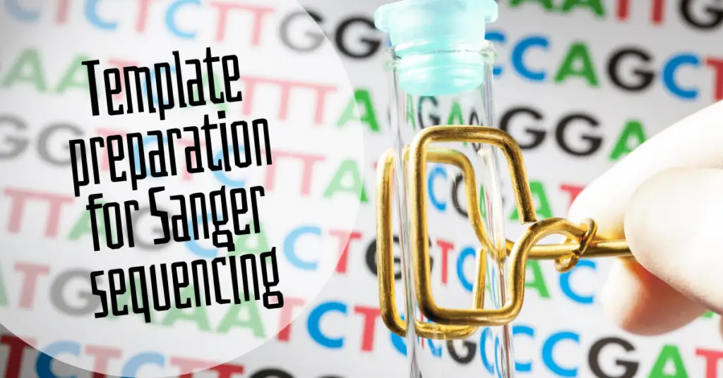 Template preparation for Sanger sequencing