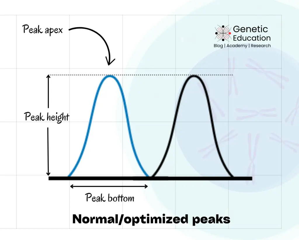 Sanger sequencing peaks