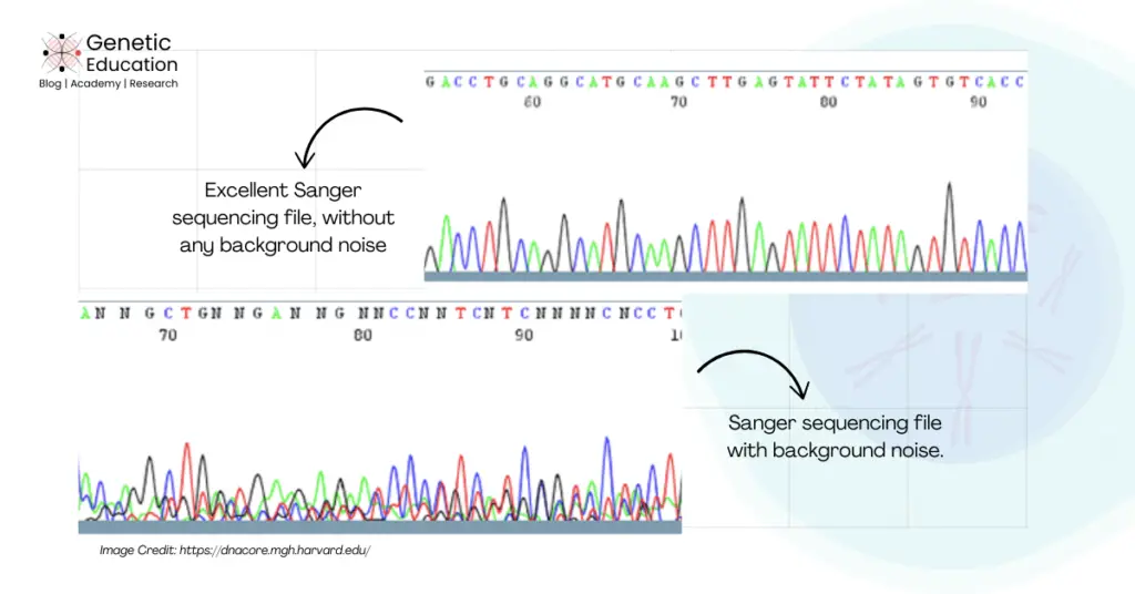 Sanger sequencing results without and with background noise. 