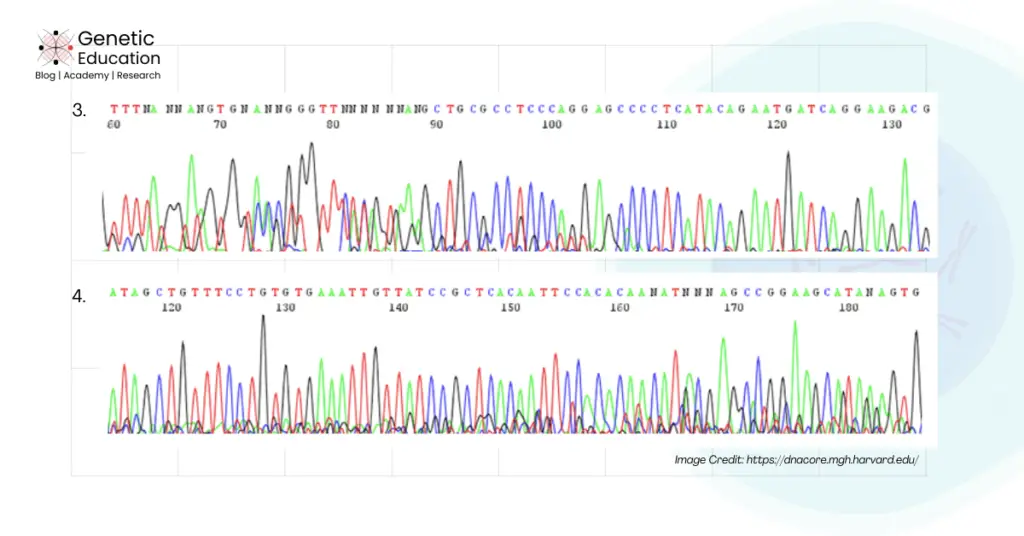 Examples of background noise in Sanger sequencing. 