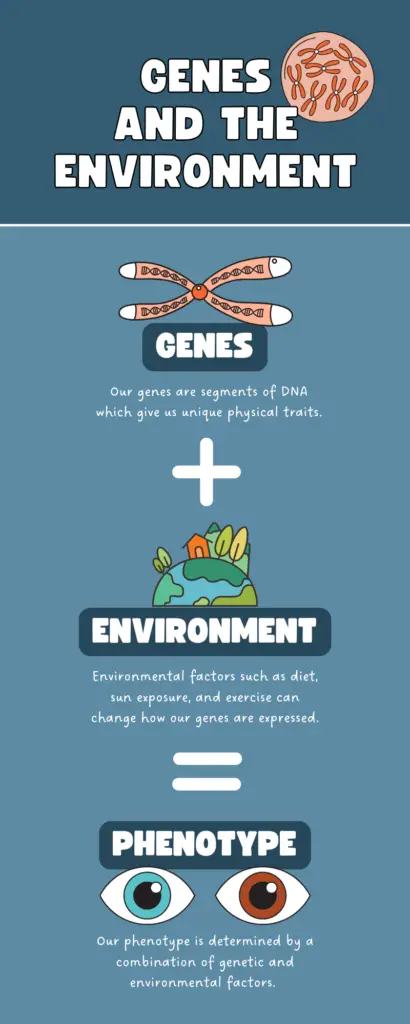 Illustration of Gene environment interaction. 